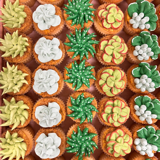 Dozen Succulent Cupcakes