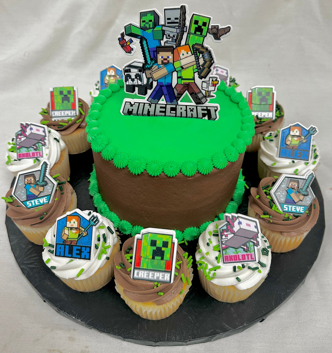 Minecraft Cake w/ 12 cupcakes