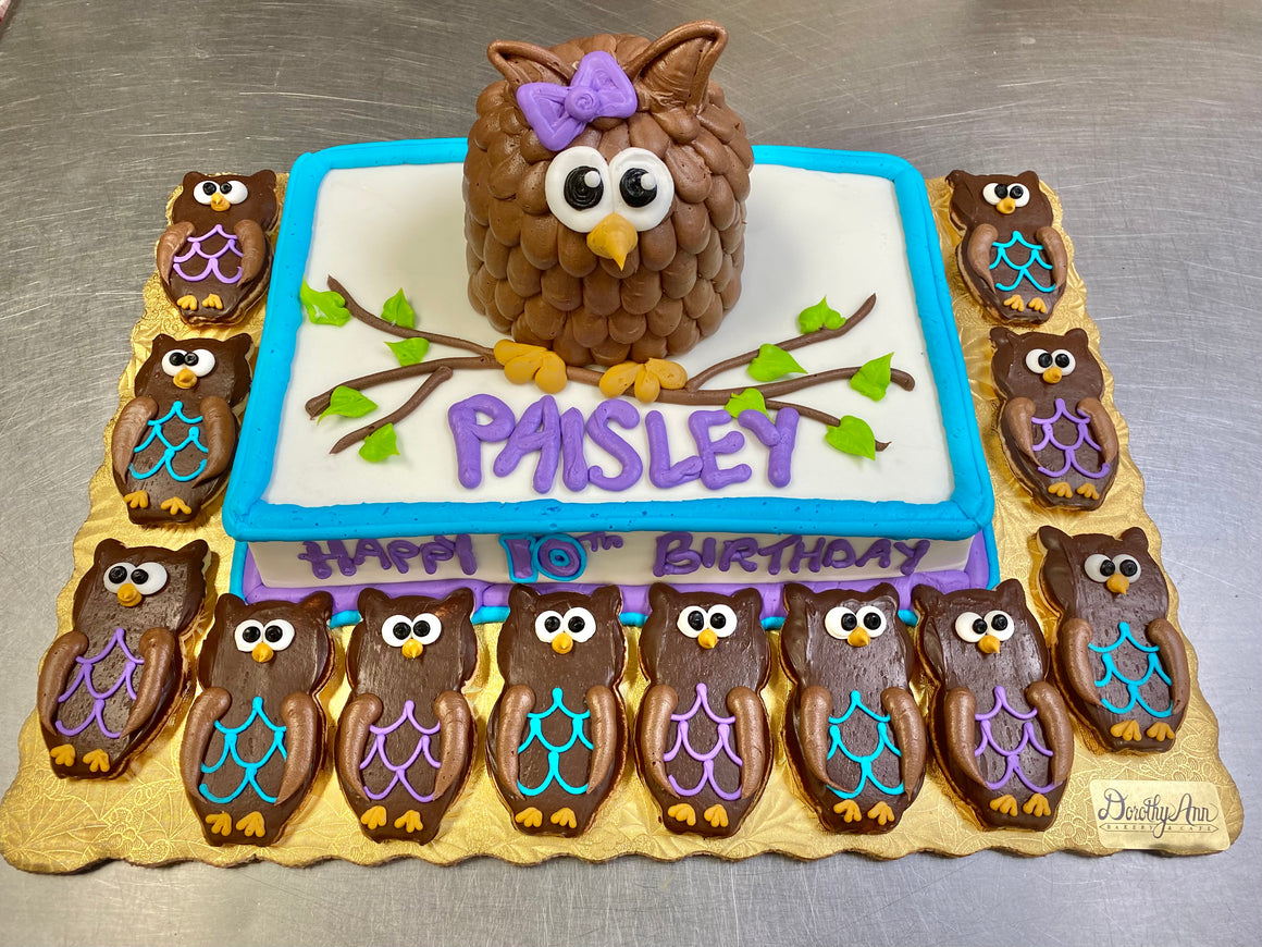 Owl Cake / Cookie Combo